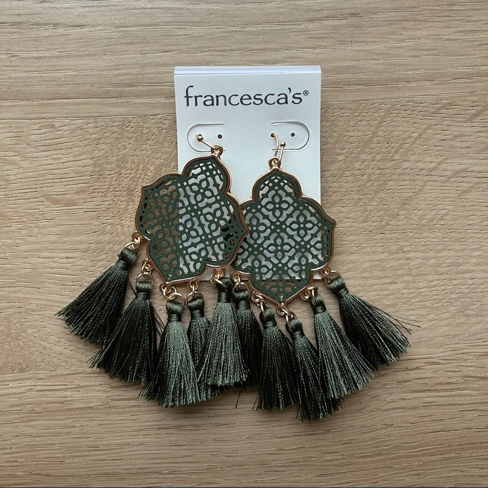 Earrings brand new never worn!!